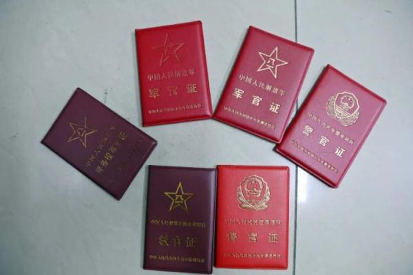 小玛丽捕鱼vip12多少钱